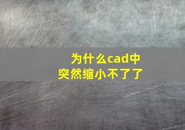 为什么cad中 突然缩小不了了